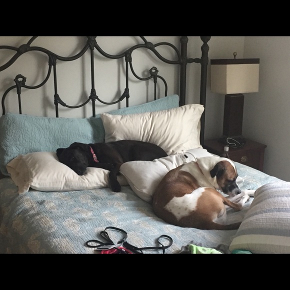 Meet your Posher, Christina - Picture 3 of 5